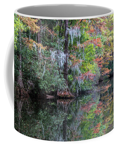 Fall Coffee Mug featuring the photograph Fall Colors in the Swamp by WAZgriffin Digital