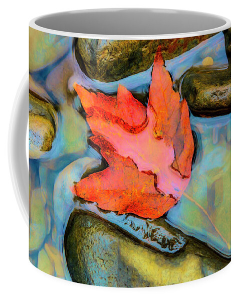 Carolina Coffee Mug featuring the photograph Fall Float Painting by Debra and Dave Vanderlaan