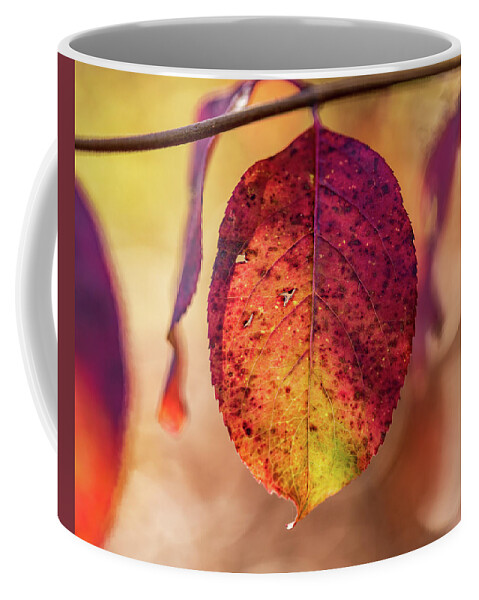Autumn Coffee Mug featuring the photograph Fall Foliage Close Up by Amelia Pearn