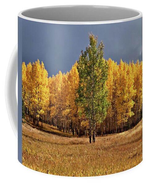 Fall Colors Coffee Mug featuring the photograph Fall Green and Gold by Bob Falcone