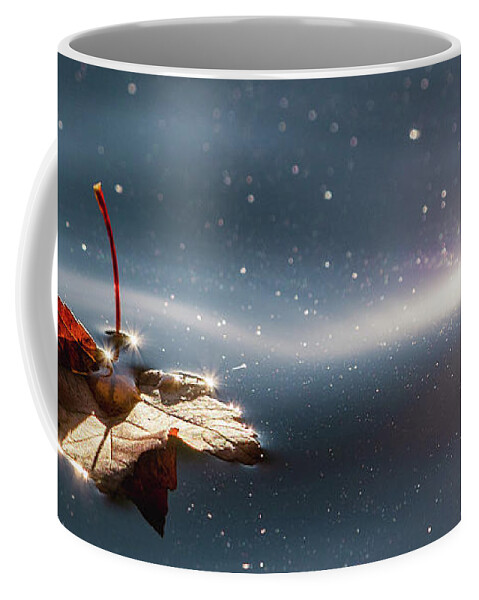 Autumn Coffee Mug featuring the photograph Fall Leaf Floating by Rachel Morrison