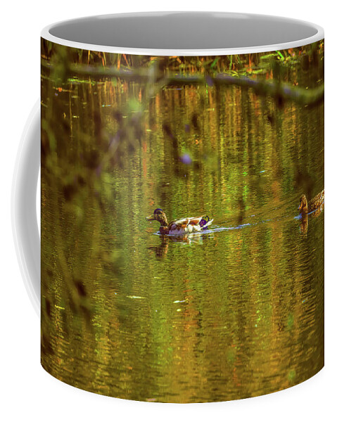 Fall Light Coffee Mug featuring the photograph Fall light #k3 by Leif Sohlman