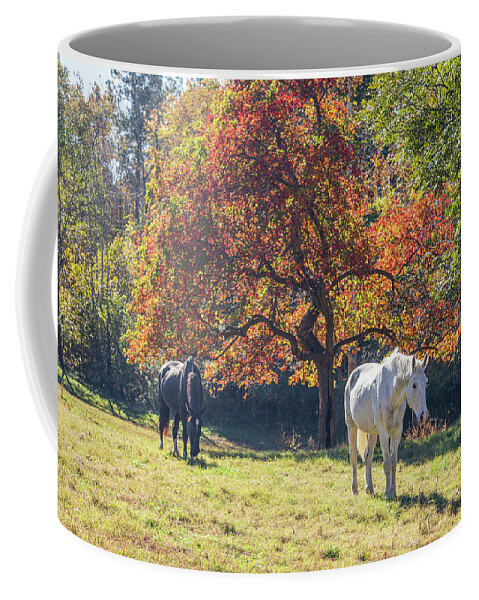 Colonial Williamsburg Coffee Mug featuring the photograph Fall Morning by Rachel Morrison