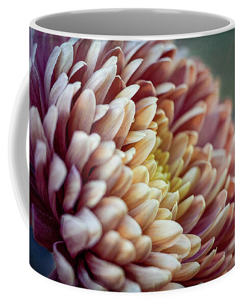 Fall Coffee Mug featuring the photograph Fall Mums 1 by Cheri Freeman