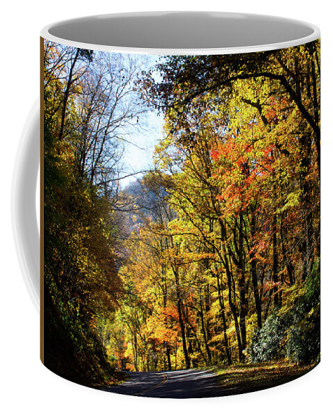 Blue Ridge Parkway Coffee Mug featuring the photograph Fall on the Blue Ridge Parkway by Charles Floyd