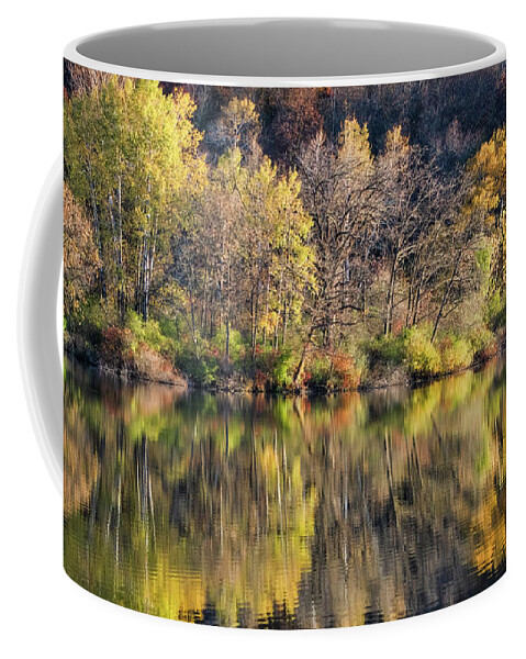 Fall Coffee Mug featuring the photograph Fall Reflections by Brad Bellisle