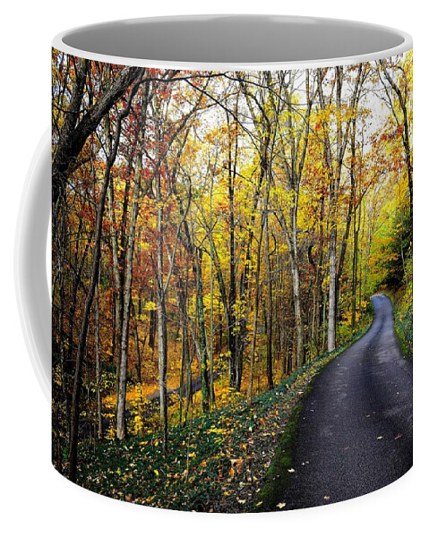 Fall Road Coffee Mug featuring the photograph Fall Road - Michigan by Kirk Stanley