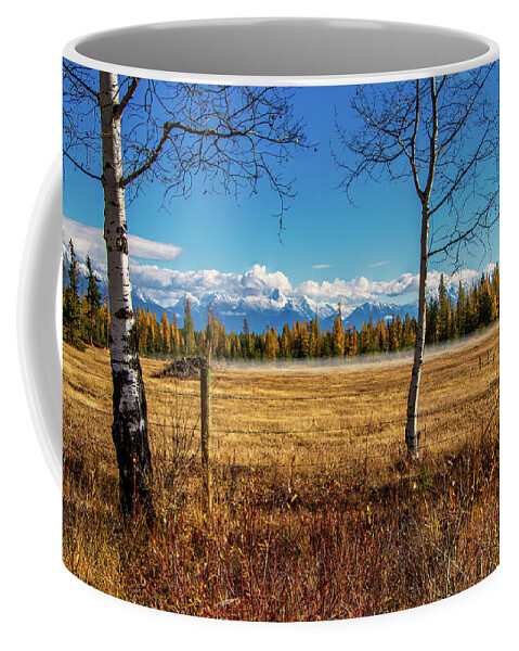 Aspen Coffee Mug featuring the photograph Fall by Thomas Nay