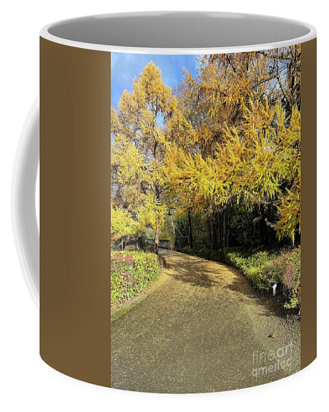 Gene Coulon Memorial Park Coffee Mug featuring the photograph Fall Walk by Suzanne Lorenz