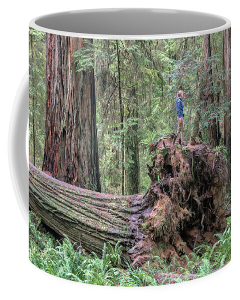 Boy Scout Trail Coffee Mug featuring the photograph Fallen Giant by Rudy Wilms