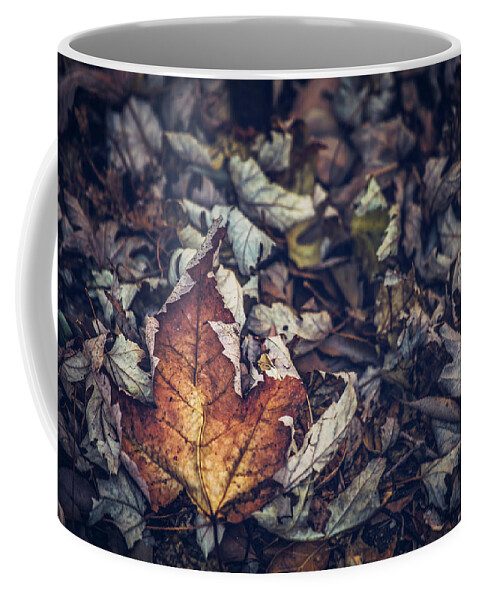 Autumn Coffee Mug featuring the photograph Fallen by Jason Roberts