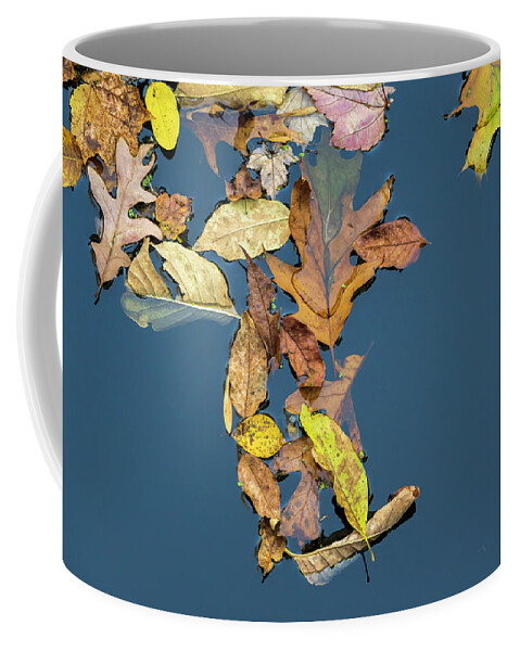 Autumn Coffee Mug featuring the photograph Fallen Leaves III Color by David Gordon