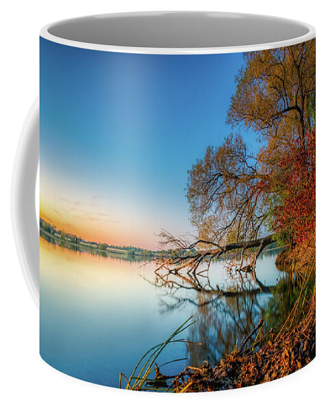 Trees Coffee Mug featuring the photograph Fallen Tree Reflection by Dee Potter