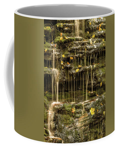Ricketts Glen Coffee Mug featuring the photograph Falling leaves by Robert Miller