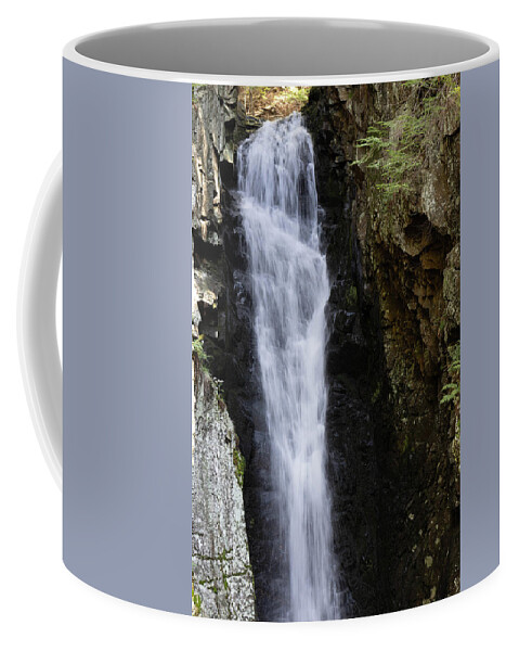 Photography Coffee Mug featuring the photograph Falls of Song #2 by Lorraine Palumbo