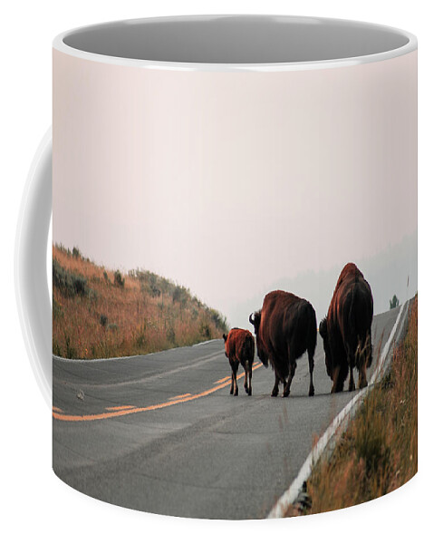 Mountain Coffee Mug featuring the photograph Family Affair by Go and Flow Photos