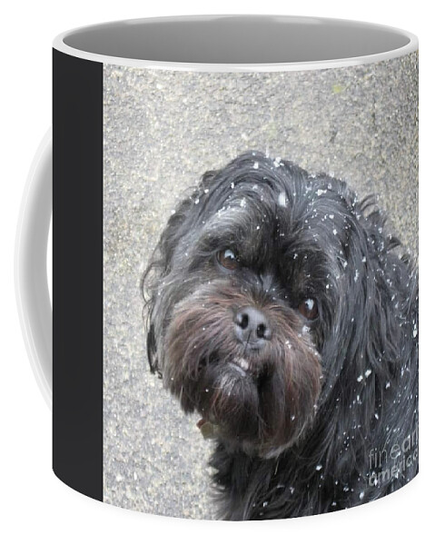 Newby Coffee Mug featuring the photograph Famous Baxter by Cindy's Creative Corner