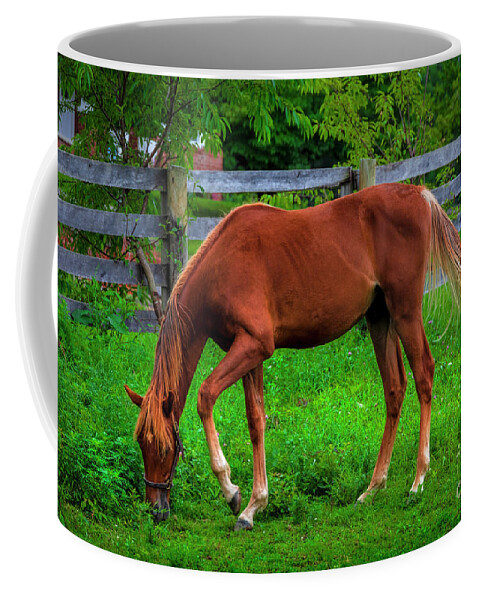 Horse Coffee Mug featuring the photograph Farm horse in Northeast Tennessee by Shelia Hunt