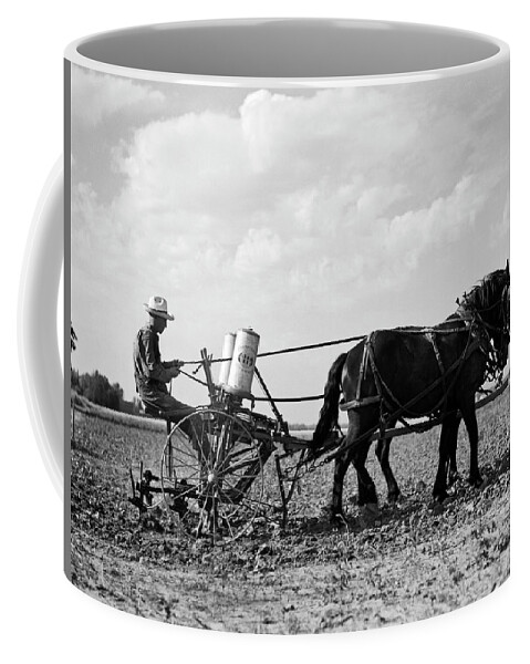 1 Person Coffee Mug featuring the photograph Farmer Fertilizing Corn by Underwood Archives  Arthur Rothstein