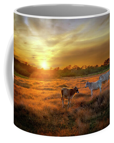 Cuba Coffee Mug featuring the photograph Farming in Cuba at sunset by Kathryn McBride