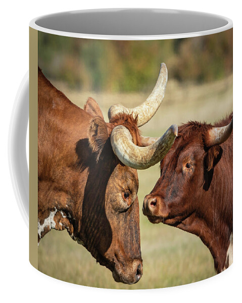 Longhorn Coffee Mug featuring the photograph Father and Son by Laura Hedien