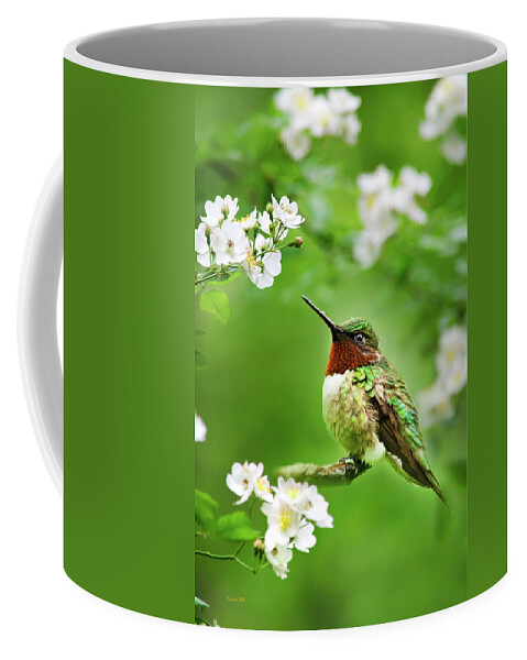 Hummingbird Coffee Mug featuring the photograph Fauna and Flora - Hummingbird with Flowers by Christina Rollo