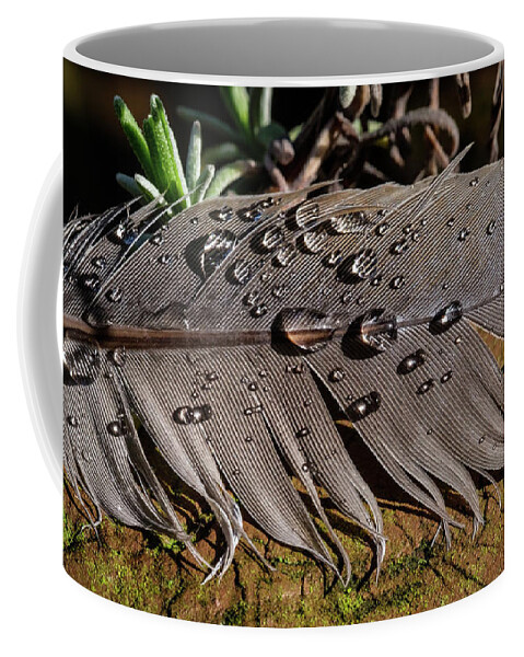 Feather Coffee Mug featuring the photograph Feather Sunrise by Glenn DiPaola