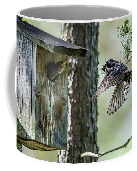 Feeding Flying Starling Coffee Mug featuring the photograph Feeding Flying Starling by Torbjorn Swenelius