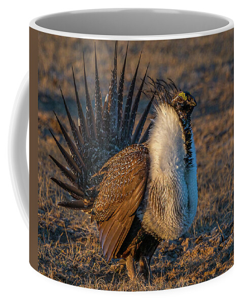 Sage Grouse Coffee Mug featuring the photograph Feels Like Dancing by Yeates Photography