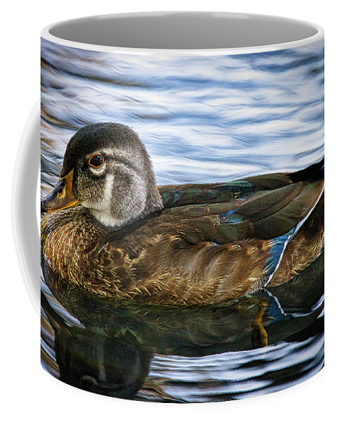 Duck Coffee Mug featuring the photograph Female Drake Duck by Rene Vasquez