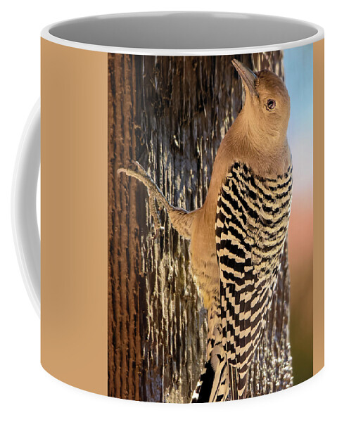 Animal Coffee Mug featuring the photograph Female Gila Woodpecker 220930 by Mark Myhaver