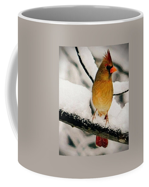 Bird Coffee Mug featuring the photograph Female Northern Cardnal by Judy Stepanian