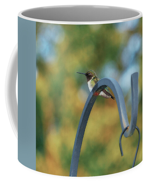 Female Coffee Mug featuring the photograph Female Ruby-Throated Hummingbird by Frank Mari