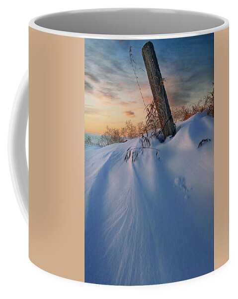 Winter Coffee Mug featuring the photograph Fencepost in the Snow by Dan Jurak
