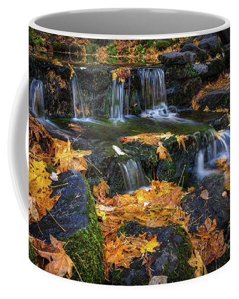 Autumn Coffee Mug featuring the photograph Fern Springs by Anthony Michael Bonafede