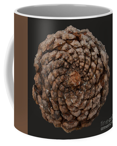 Fibonacci Coffee Mug featuring the photograph Fibonacci by Alan Riches