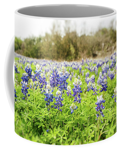 Spring Coffee Mug featuring the photograph Field of Bluebonnets Fredricksburg Texas by Scott Pellegrin