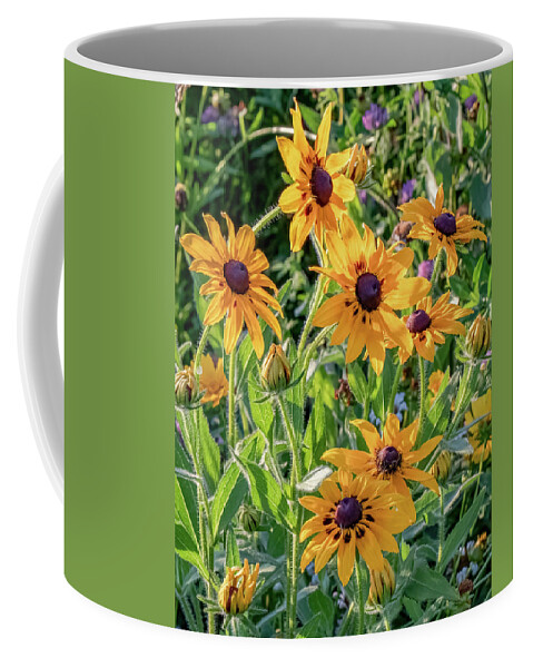 Agriculture Coffee Mug featuring the photograph Field of colors by Brian Shoemaker