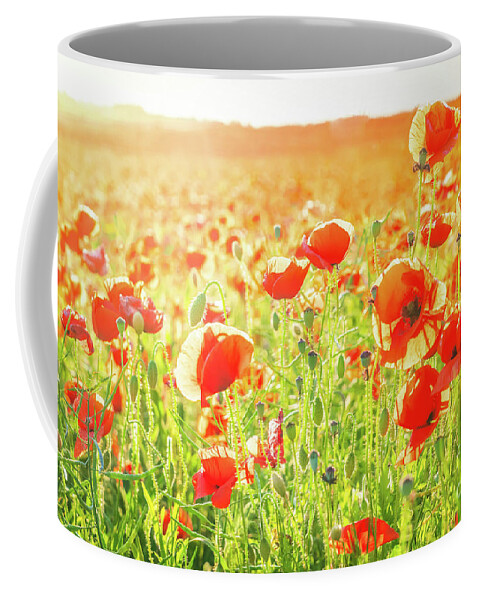 Remembrance Day Coffee Mug featuring the photograph Field Of Poppy Flowers by Anastasy Yarmolovich