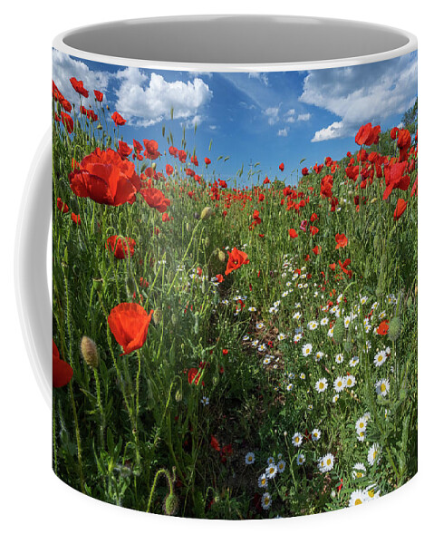 Flower Coffee Mug featuring the photograph Field of poppy flowers and daisies by Mikhail Kokhanchikov