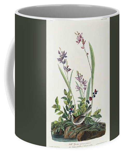America Coffee Mug featuring the painting Field Sparrow from Birds of America 1827 by John James Audubon etched by William Home Lizars by Les Classics