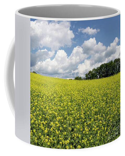 Vermont Coffee Mug featuring the photograph Fields of Flower Newbury Vermont by Edward Fielding
