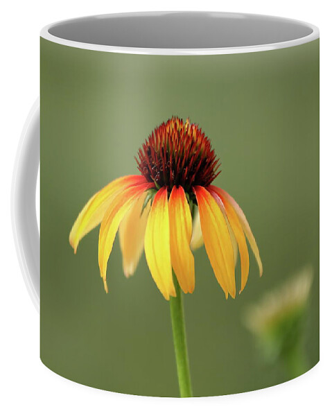 Coneflower Coffee Mug featuring the photograph Fiery Coneflower by Lens Art Photography By Larry Trager