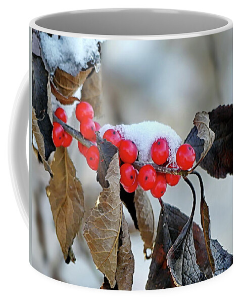 Autumn Coffee Mug featuring the photograph First Snow by Lyuba Filatova