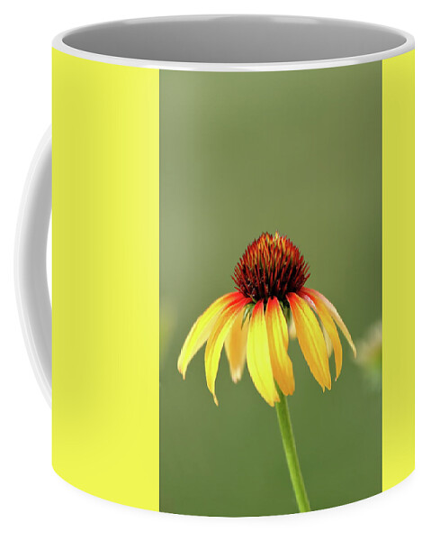 Coneflower Coffee Mug featuring the photograph Fiesta Coneflower by Lens Art Photography By Larry Trager
