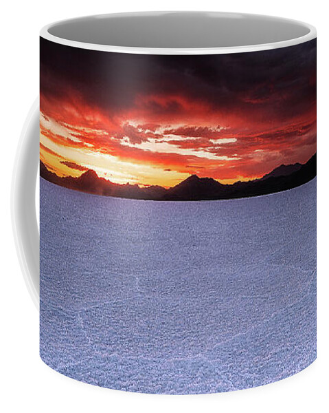 Fujifilmgfx50s Coffee Mug featuring the photograph Fight for the Light by Edgars Erglis