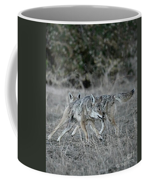 Coyote Coffee Mug featuring the digital art Fight Over Dinner by Tammy Keyes