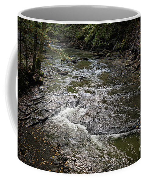 Gorge Coffee Mug featuring the photograph Fillmore Gorge 25 by William Norton