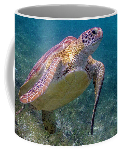 Animals Coffee Mug featuring the photograph Fine Art of Surfacing by Lynne Browne