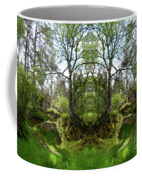 Scotland Coffee Mug featuring the photograph Fiodh Antlers by PJ Kirk